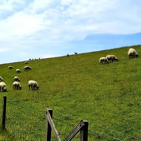 Nordseeglück Im *