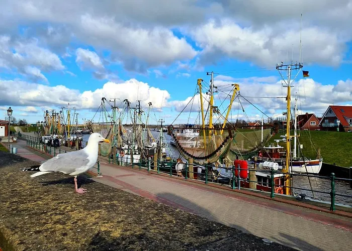 Nordseeglueck Im 度假居 *