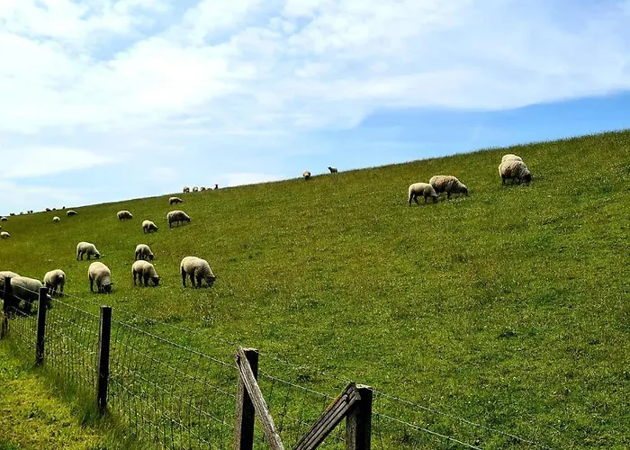 Nordseeglueck Im *